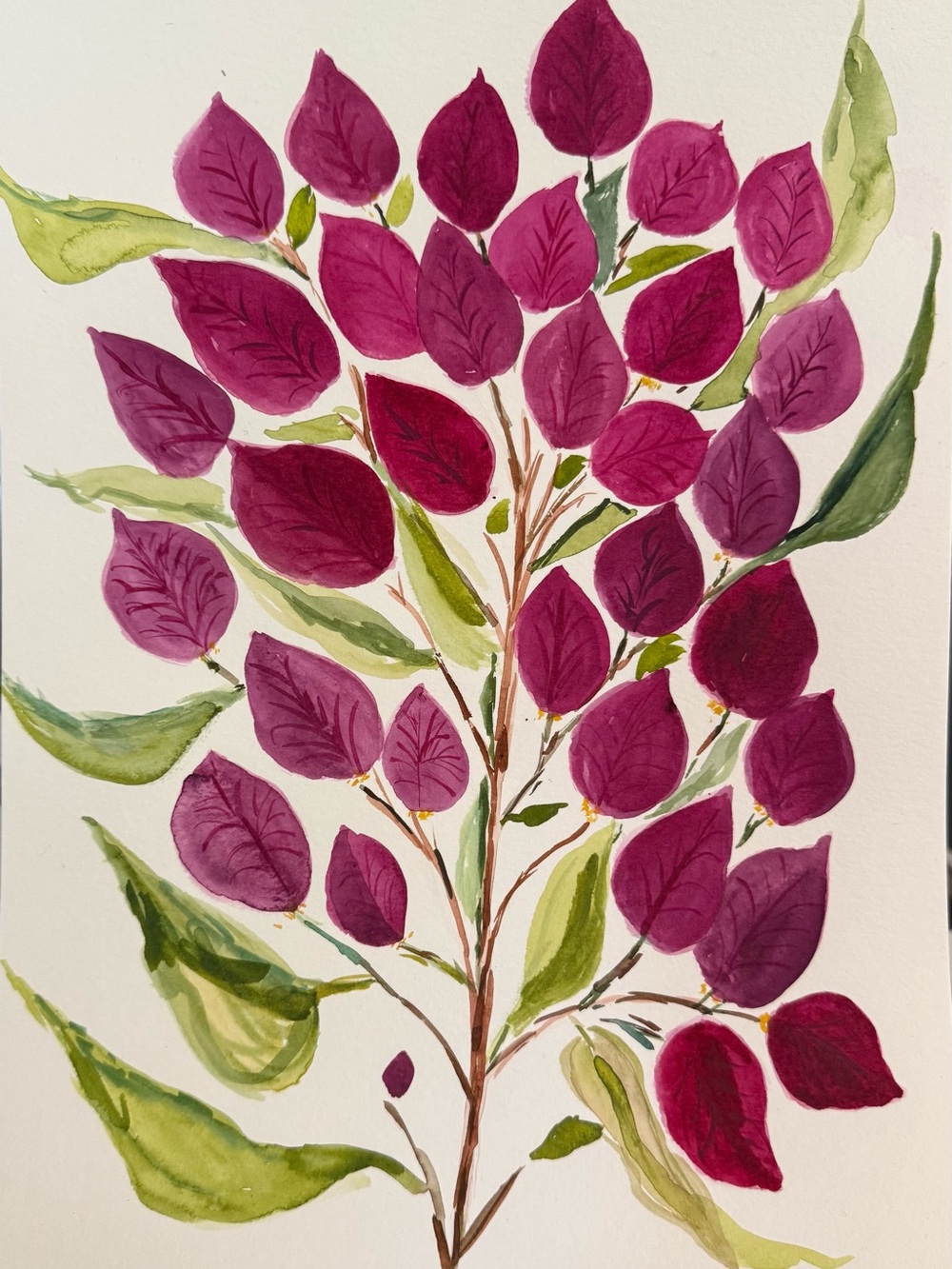 Unique Bougainvillea  Watercolor Painting original